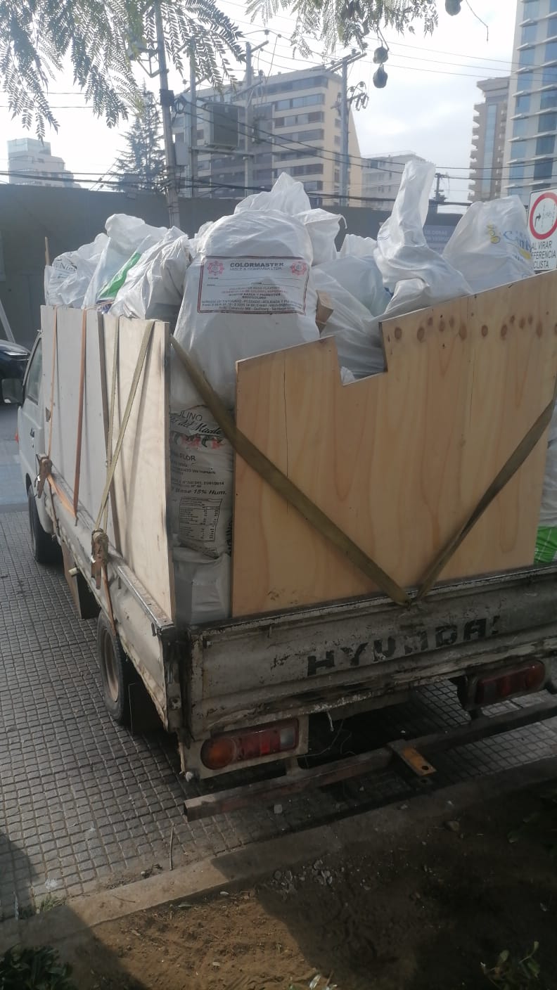 Camión Hyundai cargado con ramas y escombros